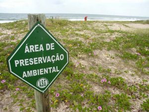 Senado ratifica redução na proteção de áreas de conservação na Amazônia
