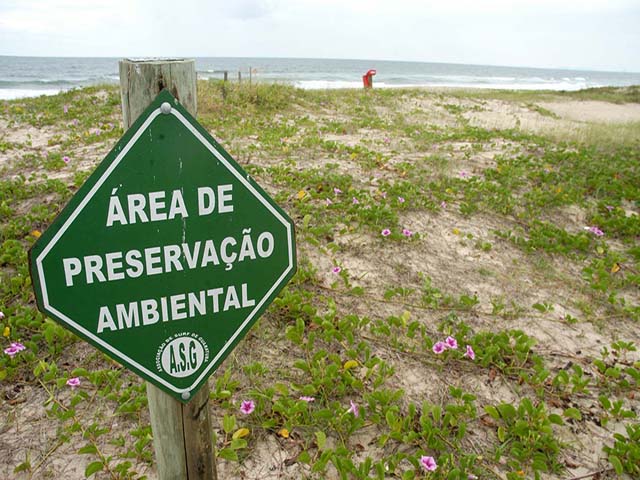 Senado ratifica redução na proteção de áreas de conservação na Amazônia