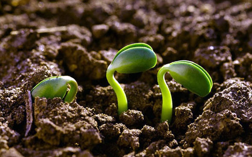 agroecologia 2