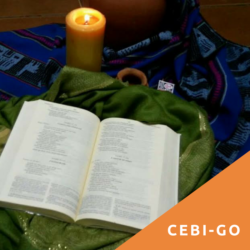 CEBI em Destaque