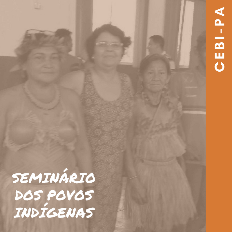 CEBI PA Destaque2