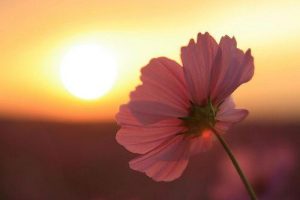 dia de sol
