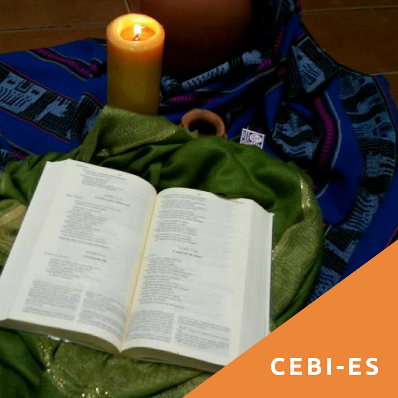 Portal do CEBI