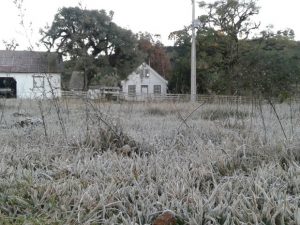 Dias de frio intenso em Santa Catarina