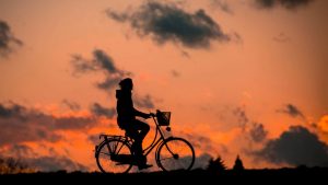 silhouette fitness bless you bike 37836