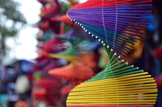 colors free photo