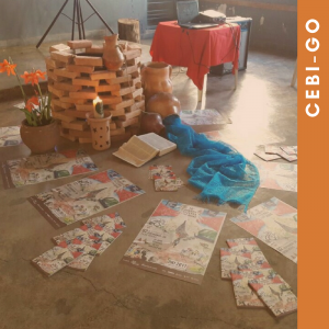 CEBI Destaque21