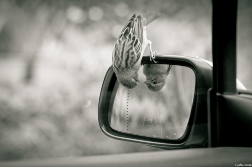 Reflexão do Evangelho
