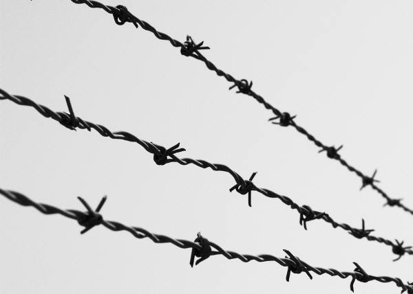 Latifúndio quer legalizar a violência no campo 1 farpado