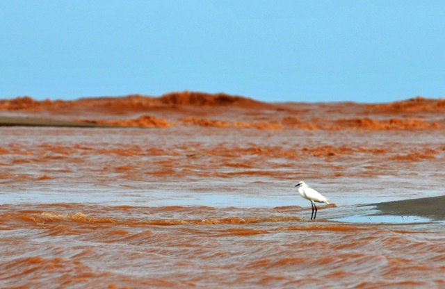 rio doce mariana mg