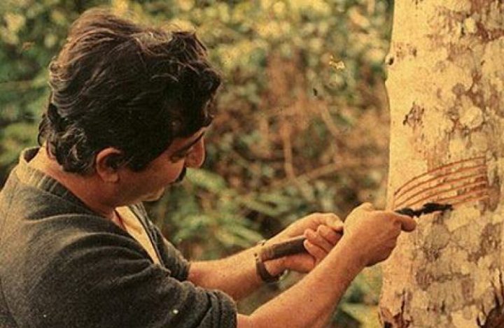 https://cebi.org.br/2017/12/04/economia-verde-o-acre-contra-chico-mendes/