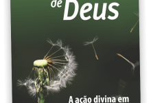 PNV358 A Sabedoria de Deus CEBI