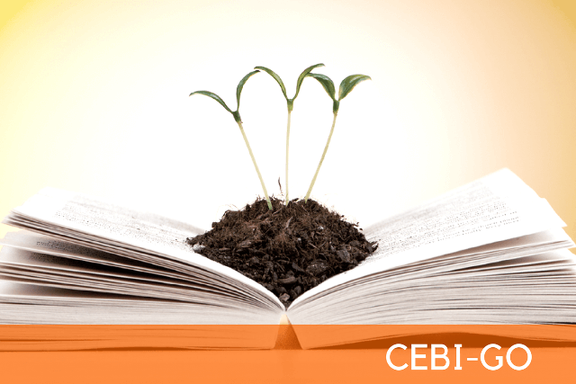 cebi go convida