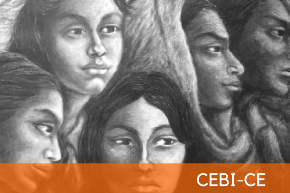 Portal do CEBI