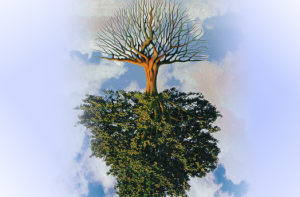 imagem capa2