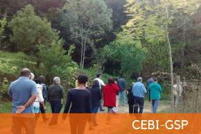 Portal do CEBI
