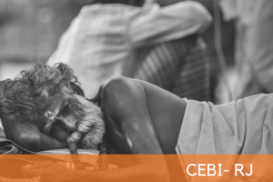 capa cebi tj