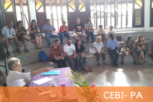 cebi noticias site