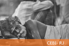 Portal do CEBI