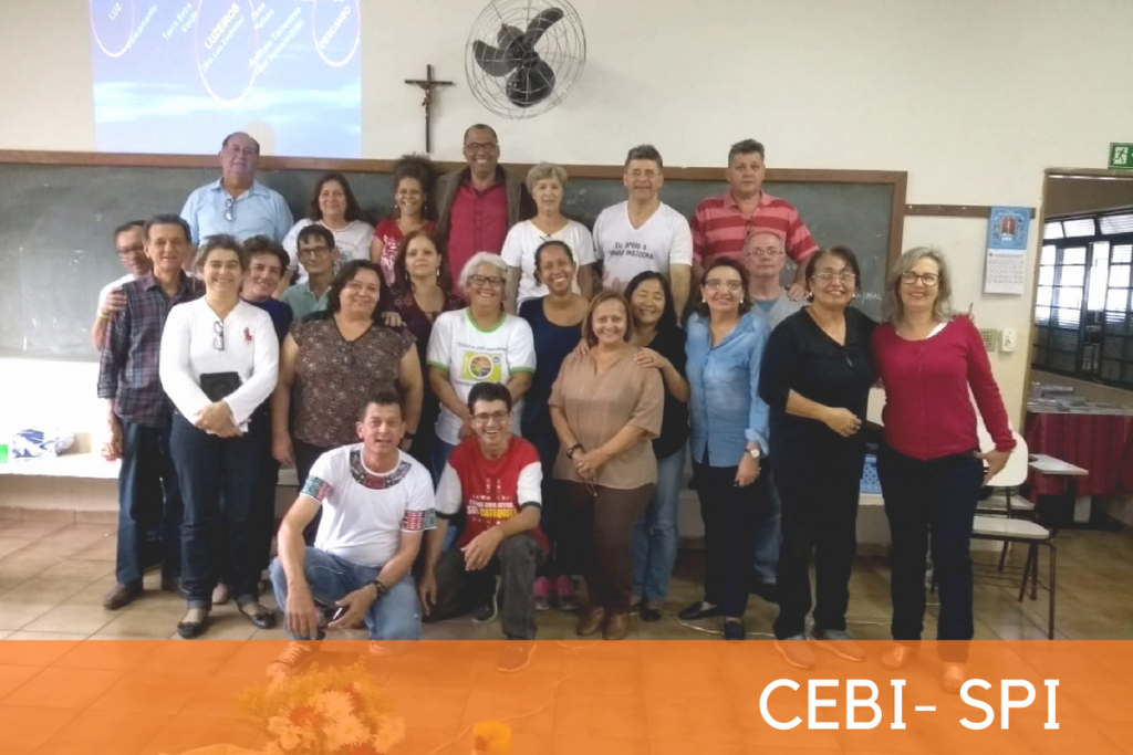 cebi noticias site