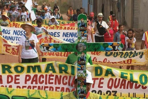cebi noticias site1