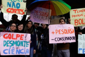 cebi noticias site
