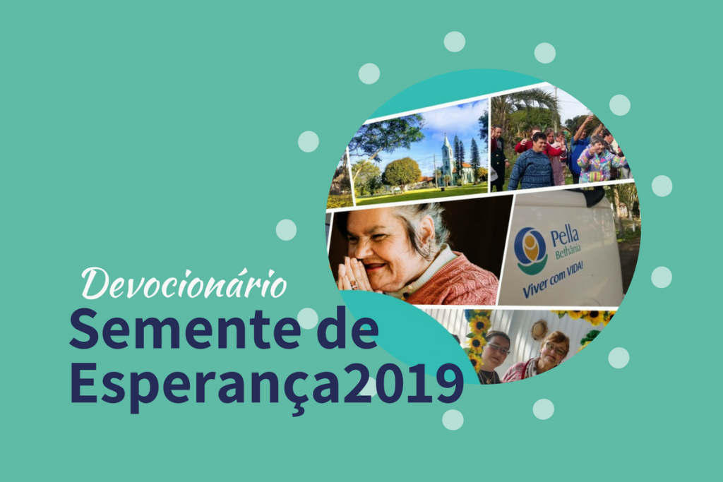 cebi noticias site
