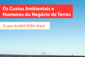 cebi noticias site 2