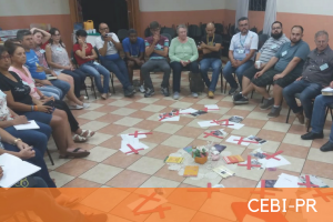 cebi noticias site1