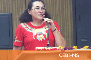 cebi noticias site2