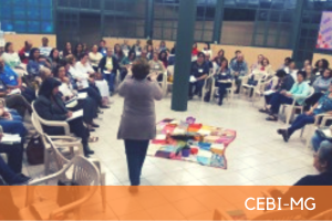 cebi noticias site3