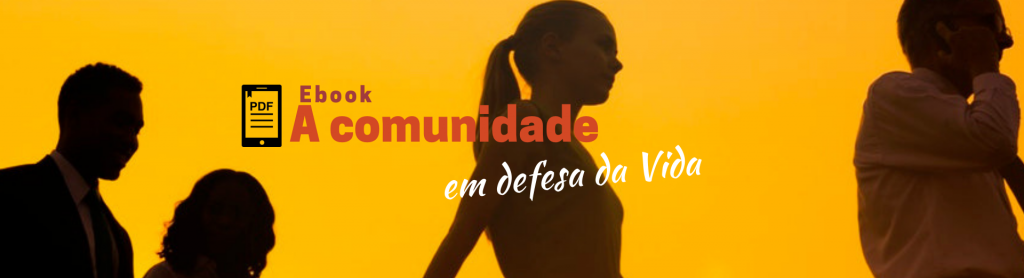Portal do CEBI