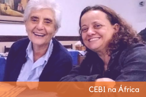 cebi noticias site