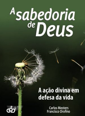 Ebook PNV358 A sabedoria de Deus