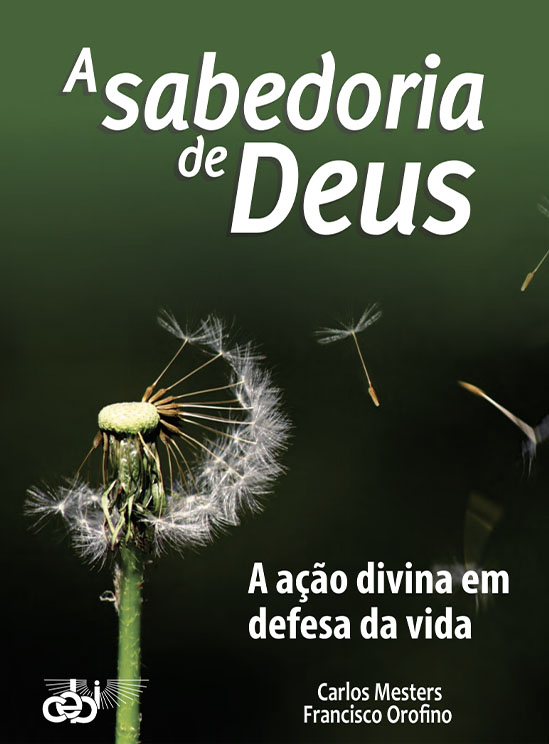 A Sabedoria de Deus / Ebook PDF