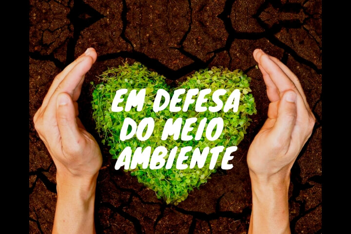 Portal do CEBI