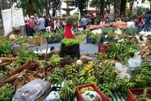 noticia amazonia em risco11