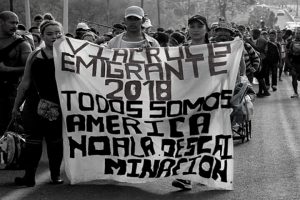 noticia amazonia em risco311