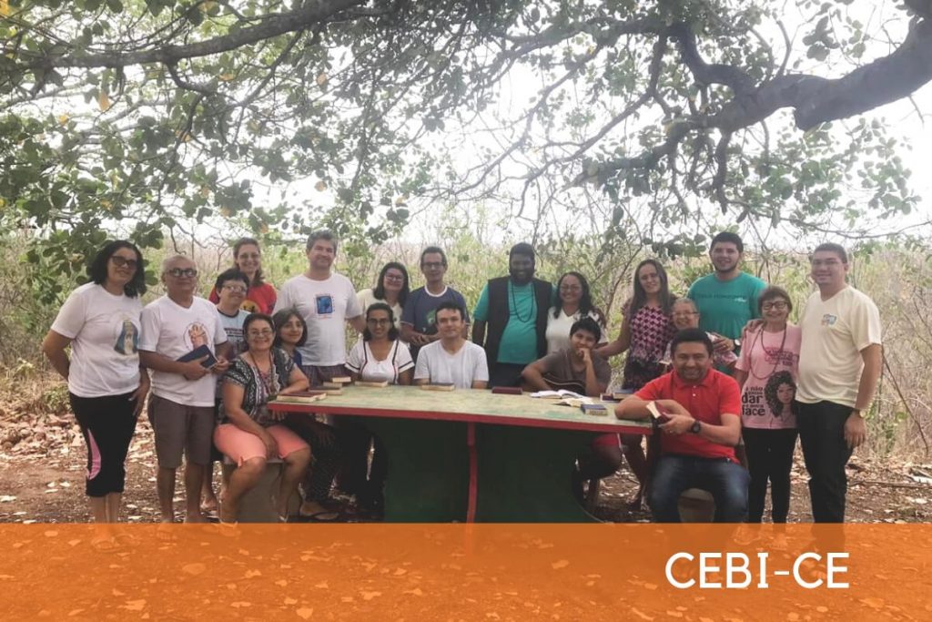 cebi noticias site