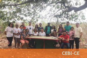 cebi noticias site