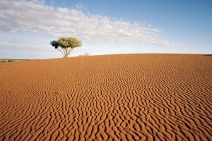 deserto2