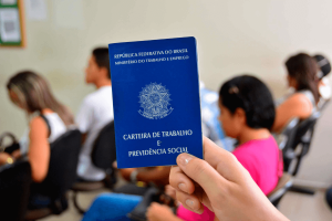 cebi noticias site 1