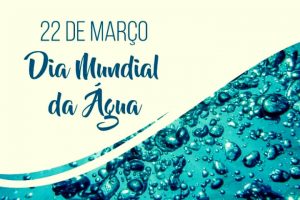 noticia cebi611