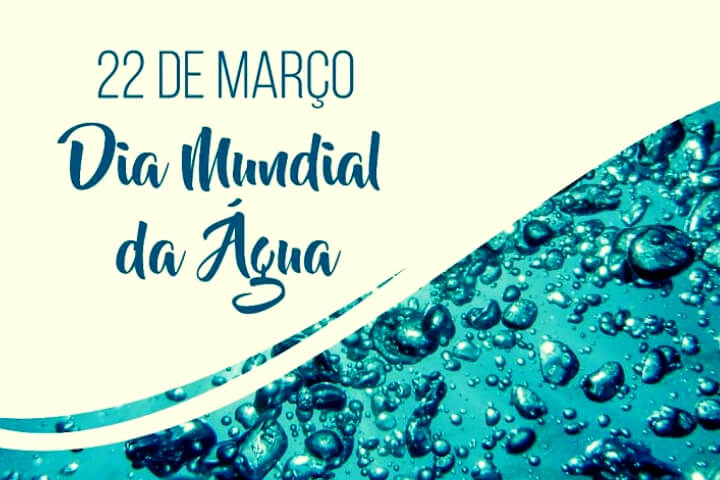 noticia cebi611