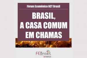 noticia cebi 3 11