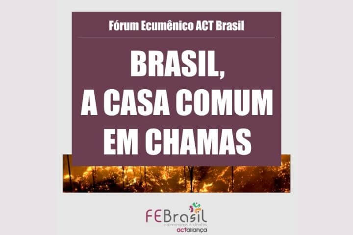 noticia cebi 3 11