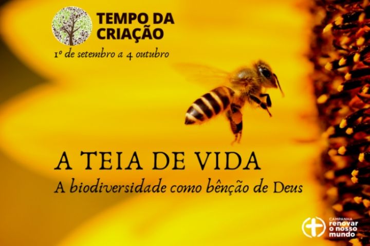 noticia cebi
