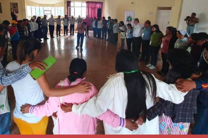 noticia cebi 2 11