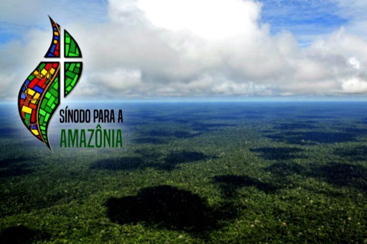 noticia cebi211
