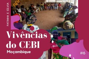 noticia cebi110